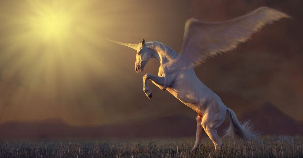 37 Unicorn Facts to Astonish You - A Winged Unicorn Rearing Up