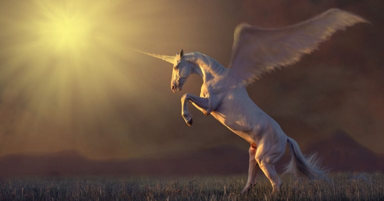 37 Unicorn Facts to Astonish You