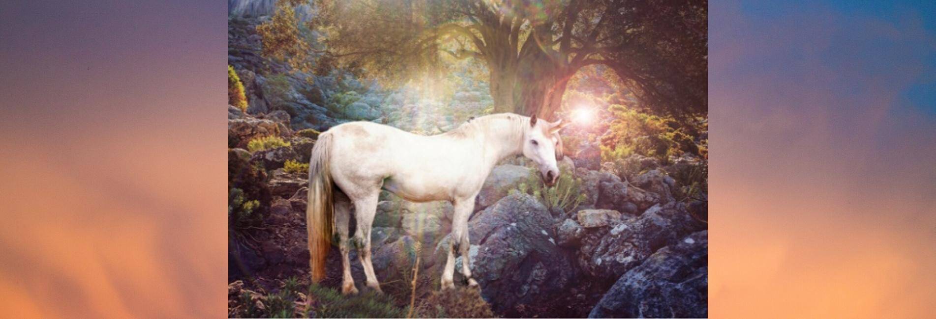 the number of horns on a unicorn