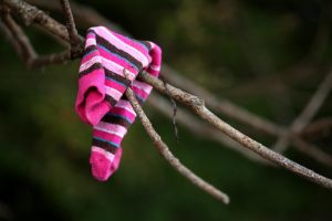 a missing sock on a branch
