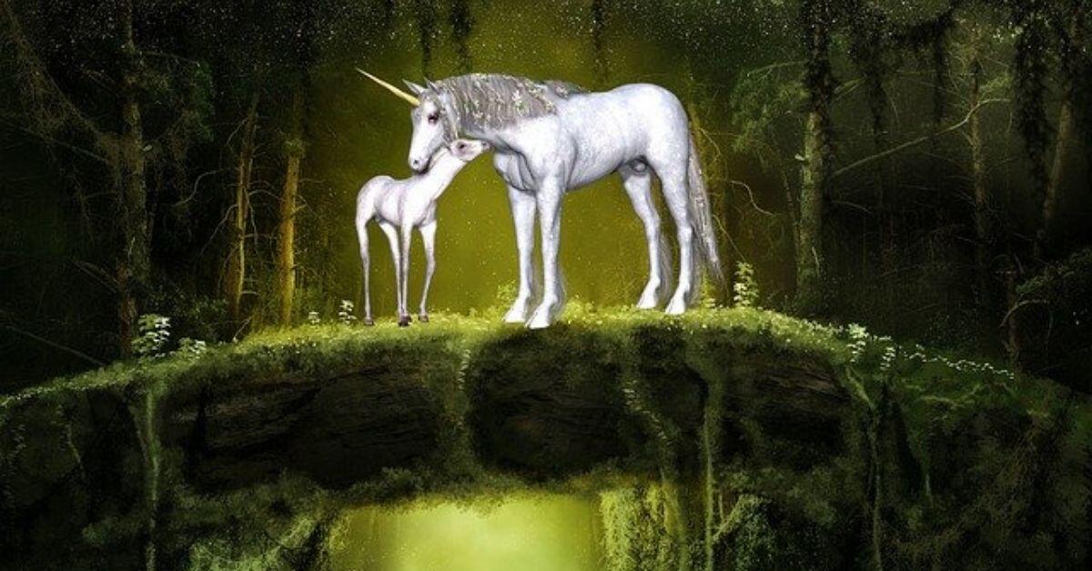 How Do Unicorns Live? - Magical Life of 150 Year Old Unicorn