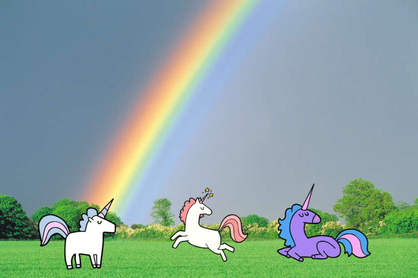 How Do Unicorns Live? – An Interview With A Unicorn