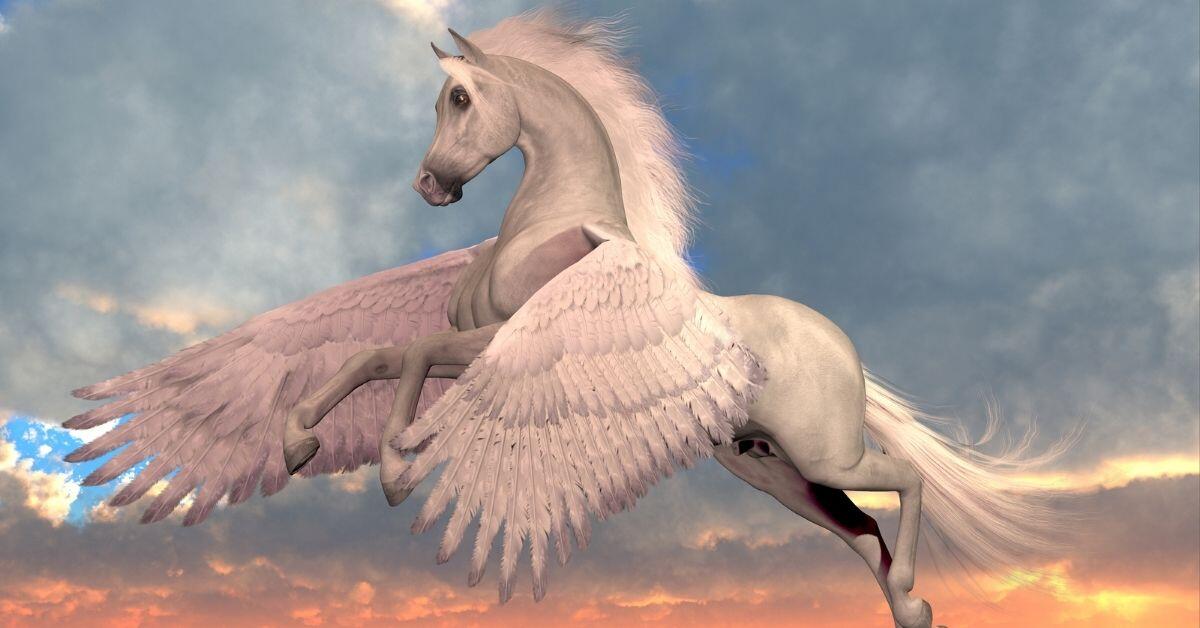 Is Pegasus a Unicorn_ - A Flying Pegasus
