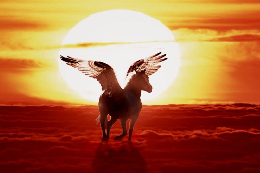 Is Pegasus A Unicorn? – Let´s Ask A Pegasus!
