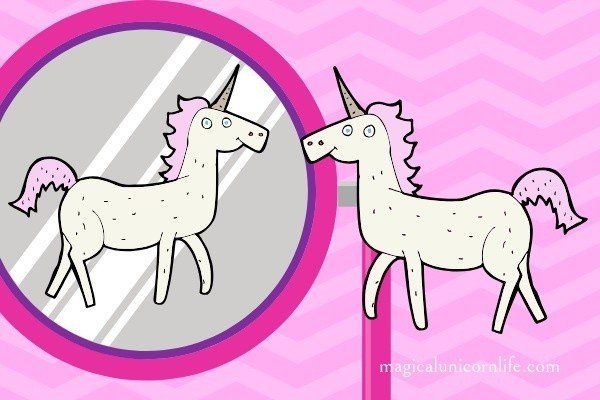 how to care for a unicorn do not give it a mirror