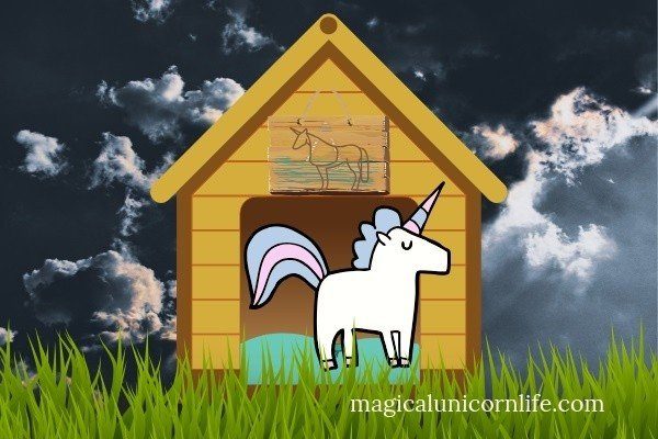 how to care for a unicorn a unicorn shelter
