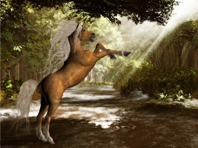 Hippolyta la licorne dans une forêt