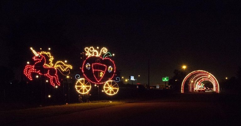 Unicorn Christmas Lights