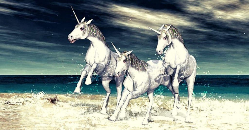 What Do Unicorns Do for Fun? 10 Magical Hobbies
