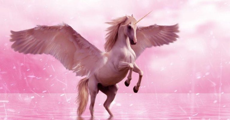 Which Type of Unicorn Are You?
