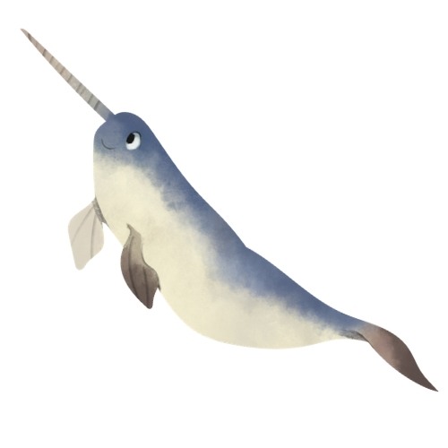 unicorn whale narwhal