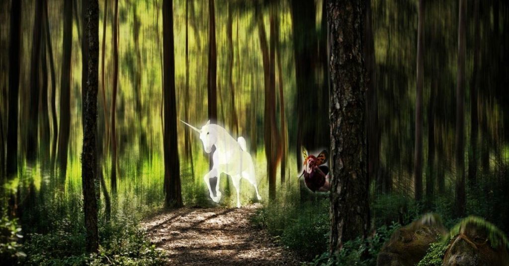 The Natural History of Unicorns - A Unicorn in Forest