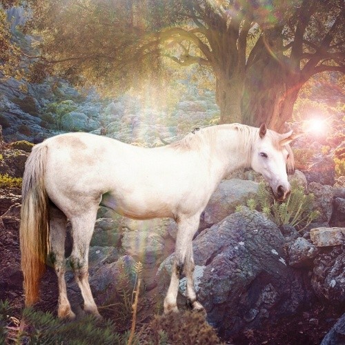 unicorn glowing horn