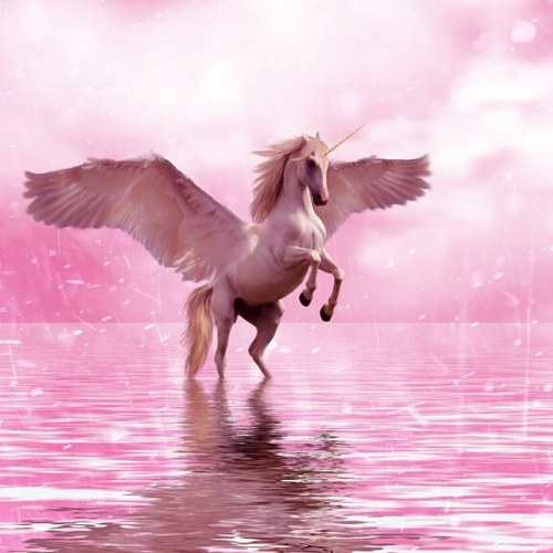 winged unicorn | Magical Unicorn Life