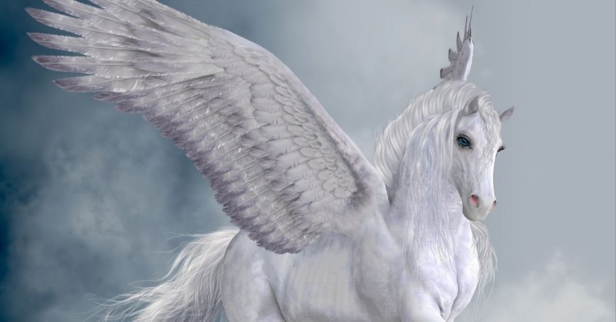 What Is My Pegasus Name? - Reveal Your Winged Epithet