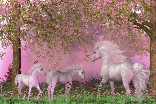 Unicorn Life Lessons - A Group of Unicorns