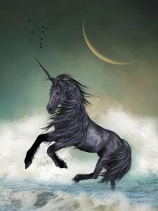 Licorne noire au clair de lune