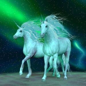 Two Unicorns and Northern Lights