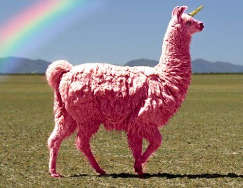 A Pink Llamacorn