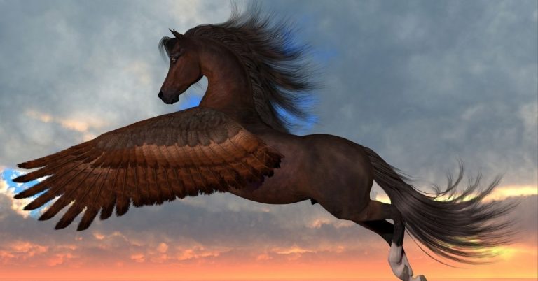 10 Beautiful Pegasus Pictures