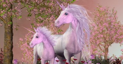 The Best Unicorn Names - Unicorn Mom and Baby in a Magical Forest
